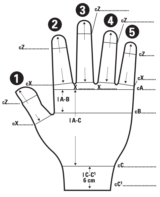 hand measuring points